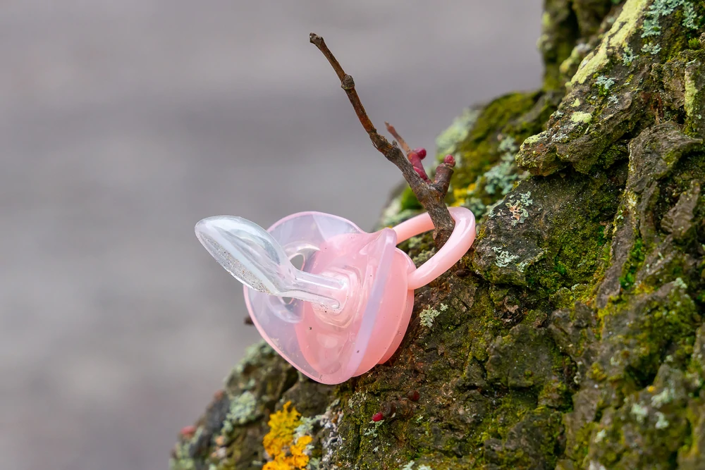 orthodontic pacifier hanging on a tree