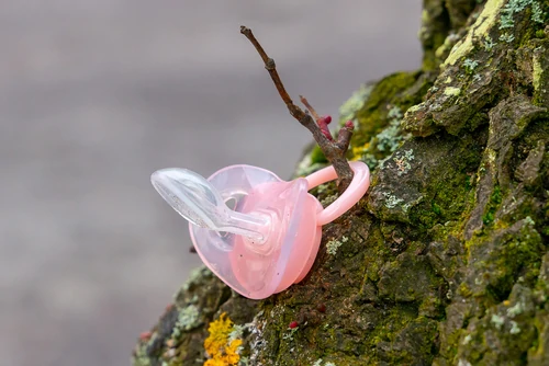  orthodontic pacifier hanging on a tree